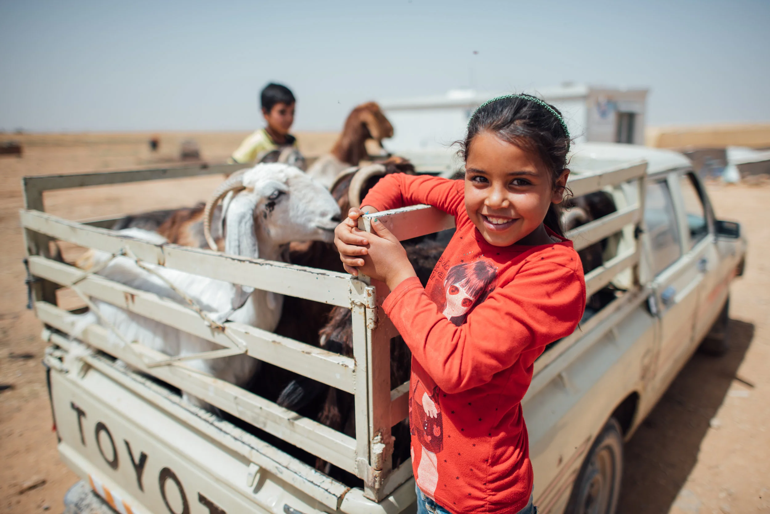  From LHI's May 2017 distribution in Jordan. Photo by Mike Walton. 
