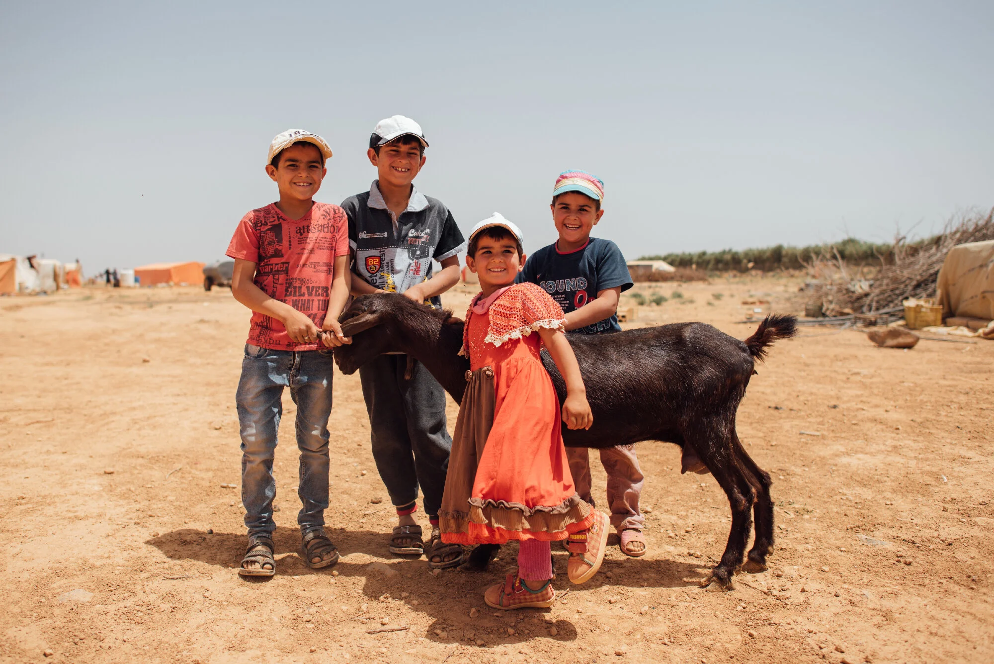   In Jordan, our    Gather for Goats    project provides Syrian refugee families with the life-enhancing gift of milk goats.  
