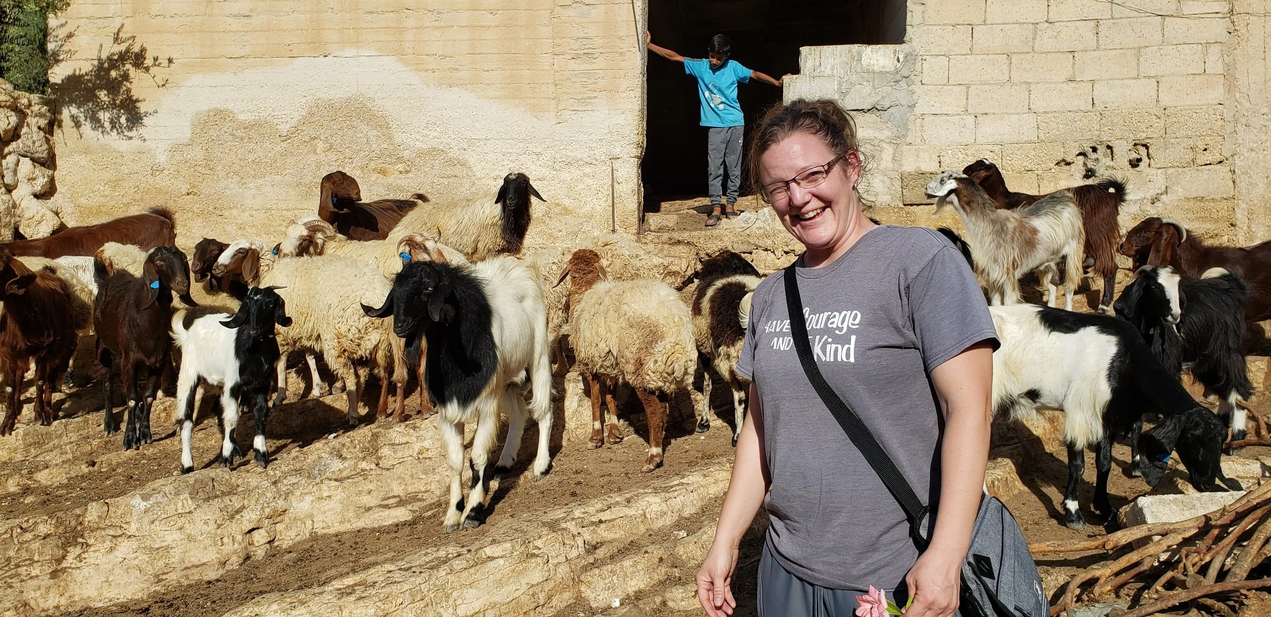  Carlissa with the herd! 