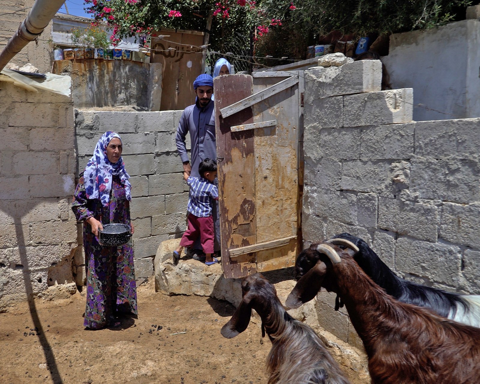  Ebrahem’s family used the income from breeding and milking their goats to move into a new home, which is close by the goat enclosure pictured above. 