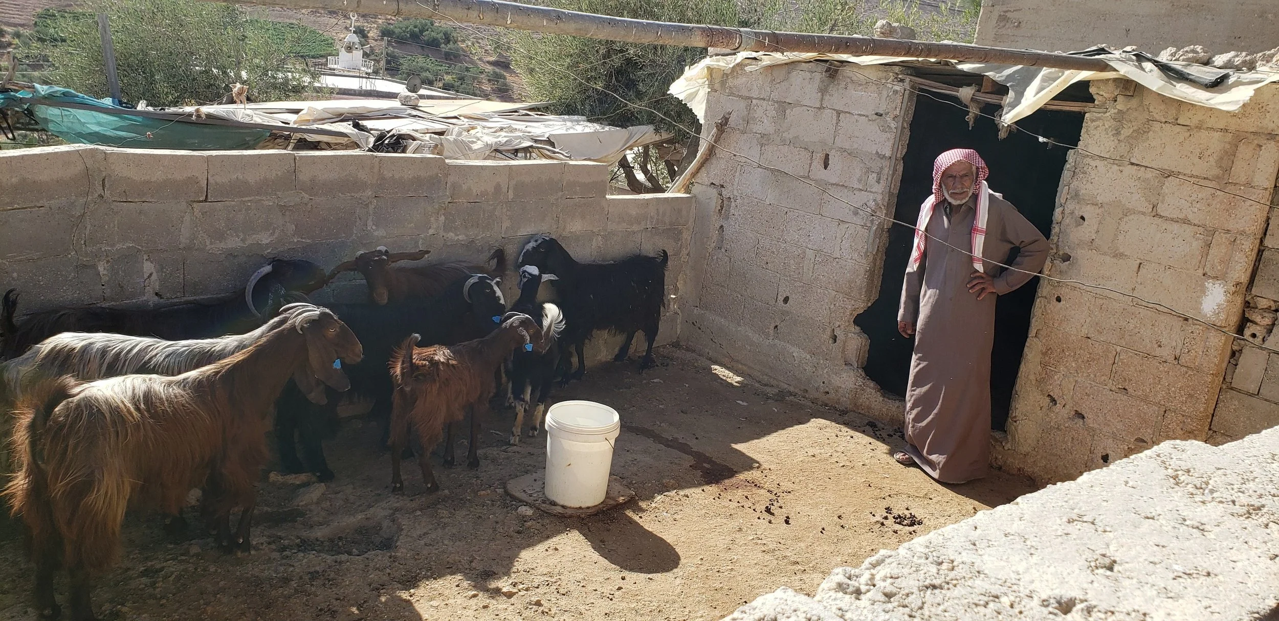  This family turned the 2 milk goats they received from LHI into a herd of 25 in just 2 years! 