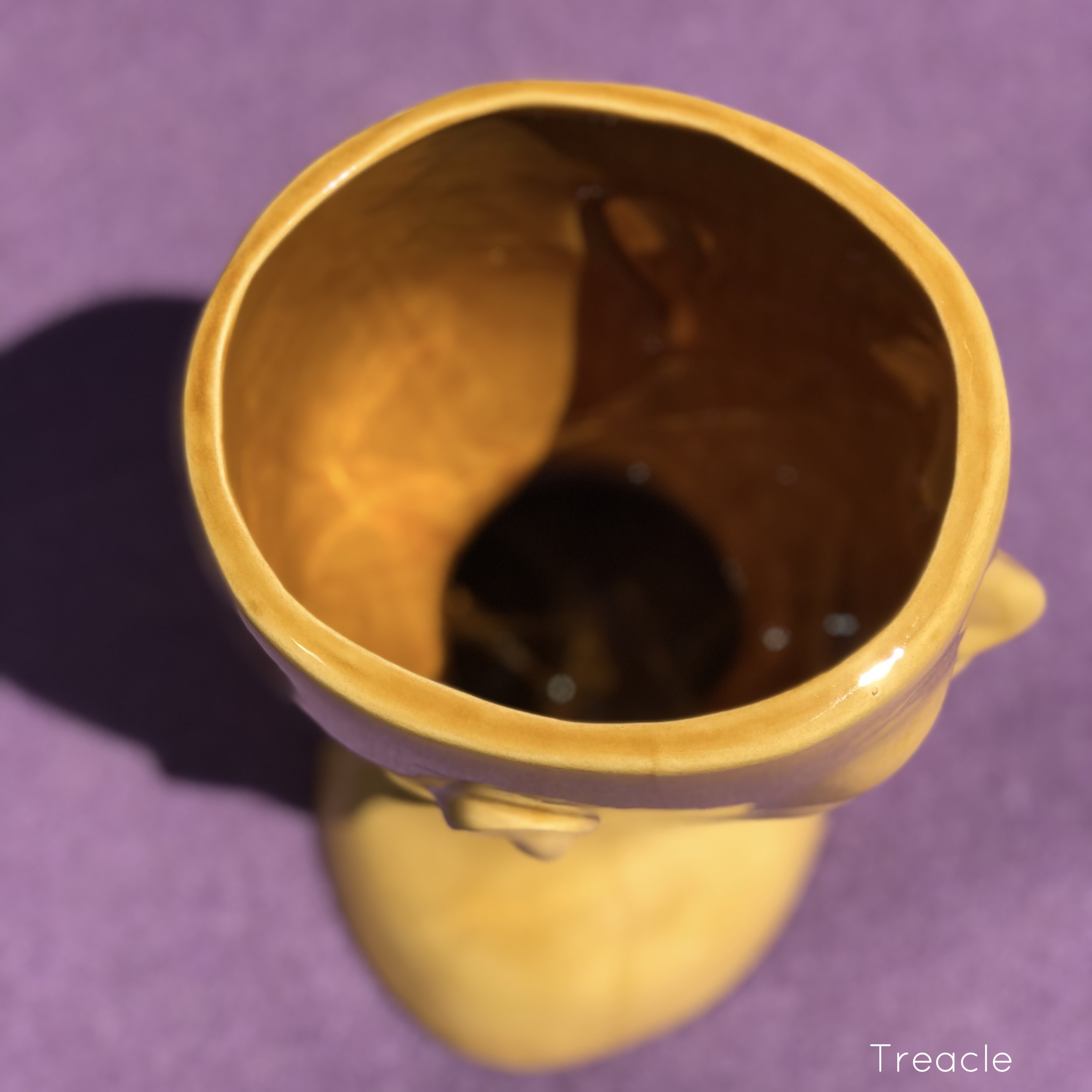 fullsizeoutput_a2f.jpeg