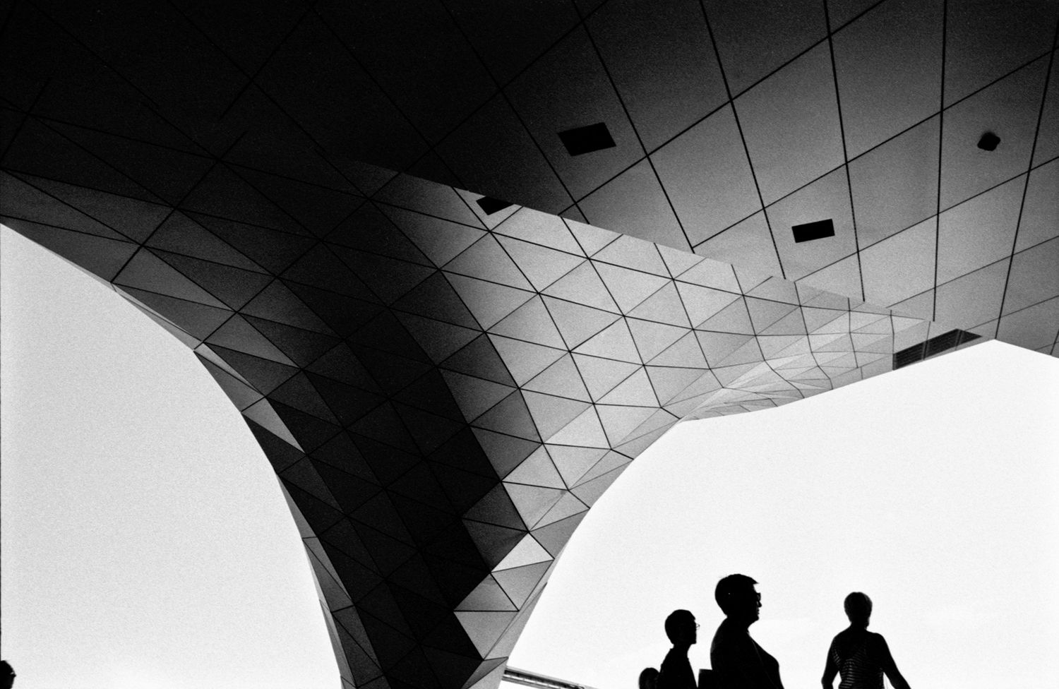 Musée des Confluences (Lyon,France)