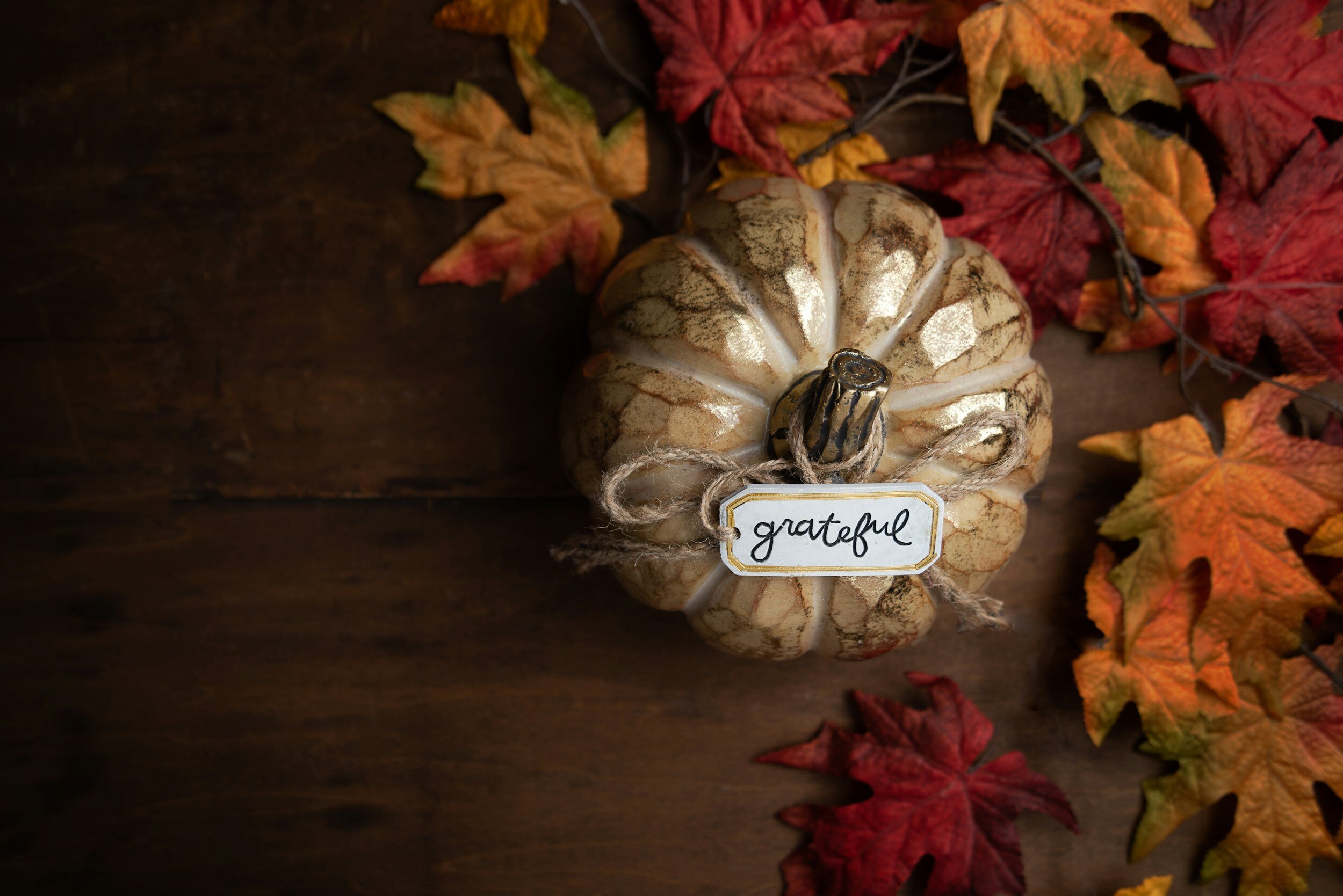 CLOSED: Thanksgiving + Following Friday