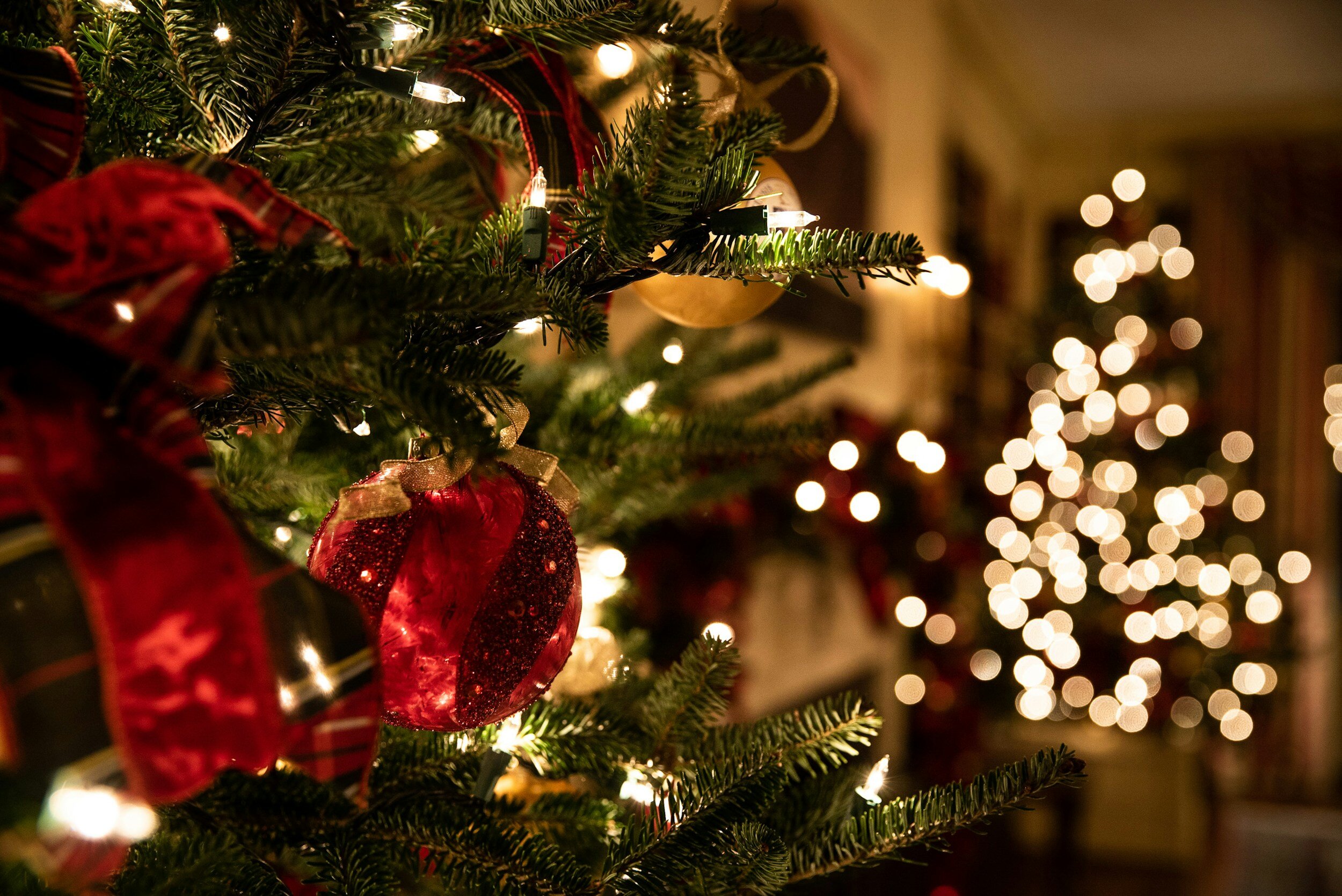 CLOSED: Christmas Eve and Christmas Day