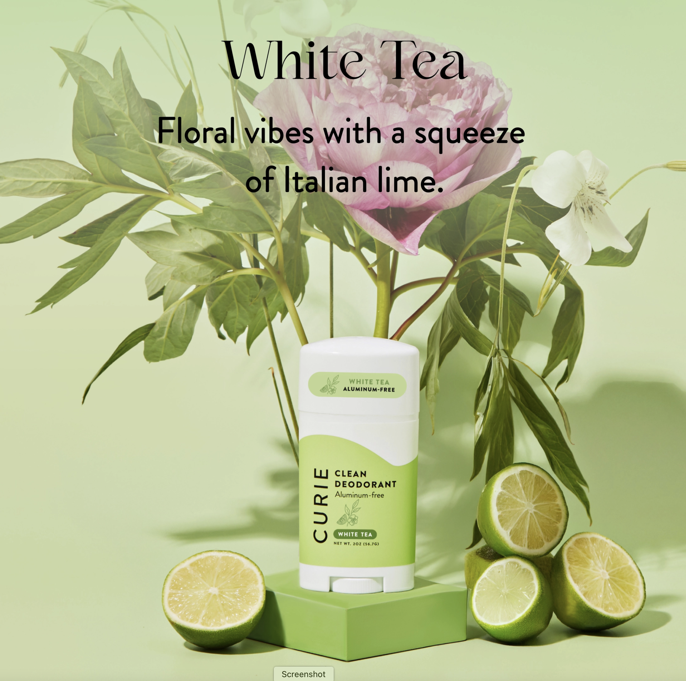 Screen Shot 2025-12-22 at 12.07.27 PM.png