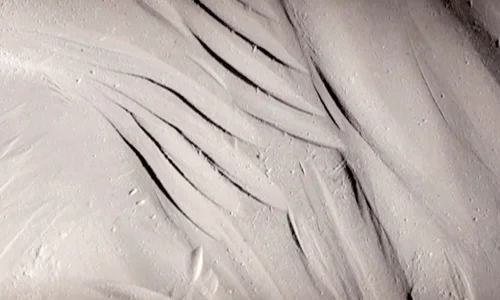 Hand-Carved Carrara CE001