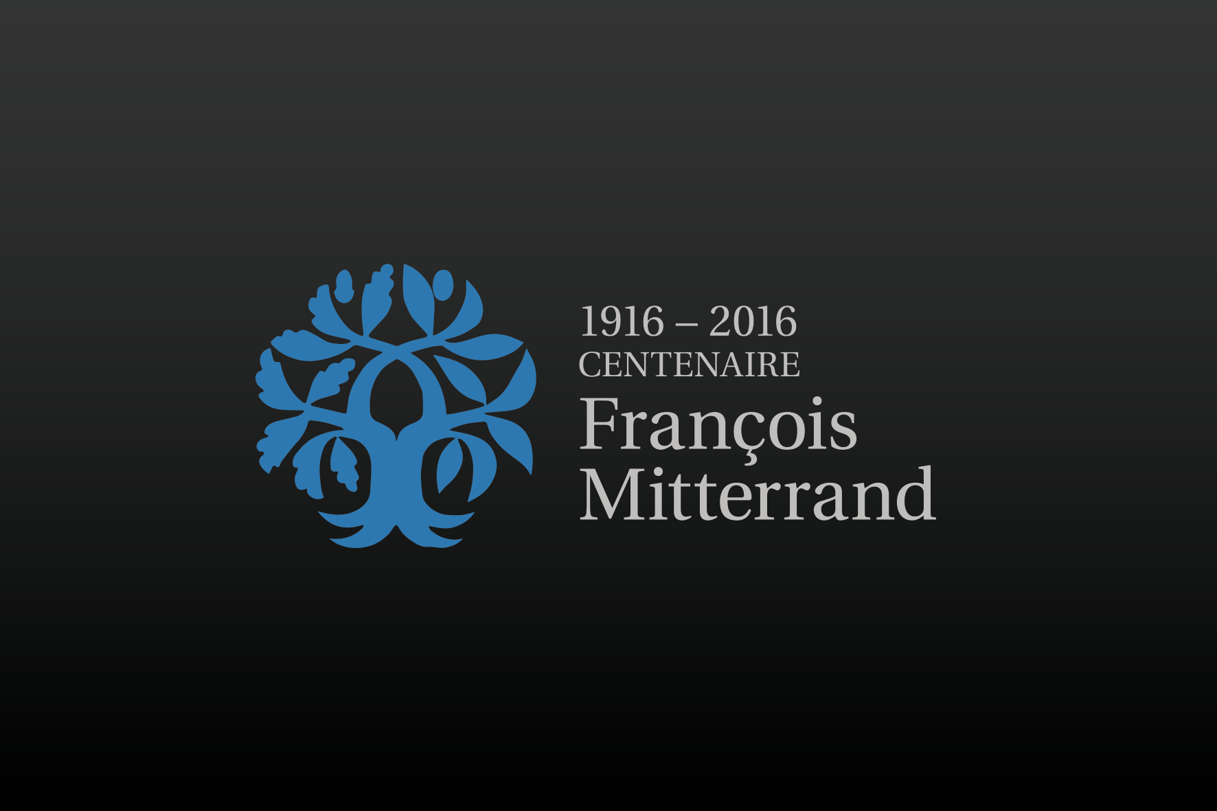 logo_ifm_centenaire_portfolio.png