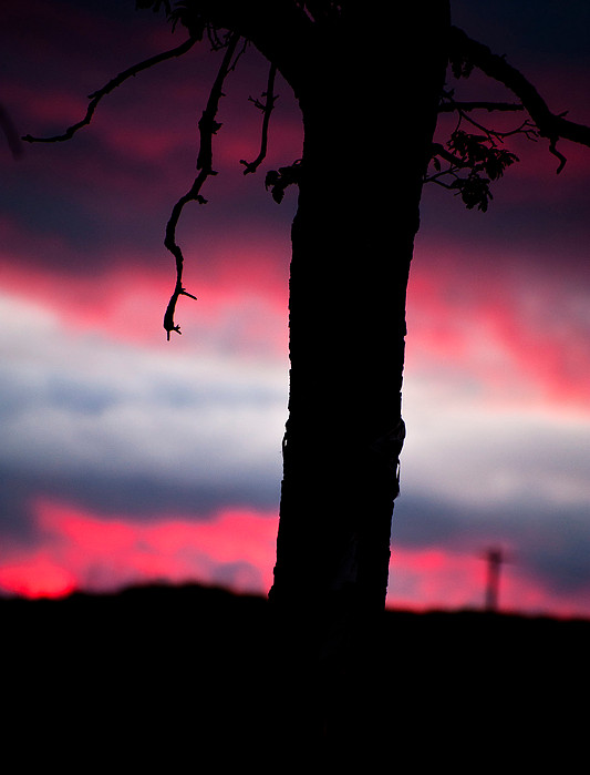 South Winnipeg Sunset