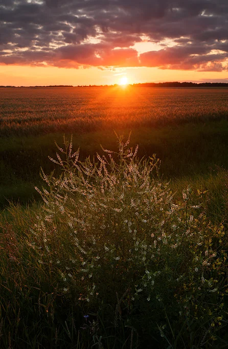 Southern Manitoba Sunset Landscape Photography