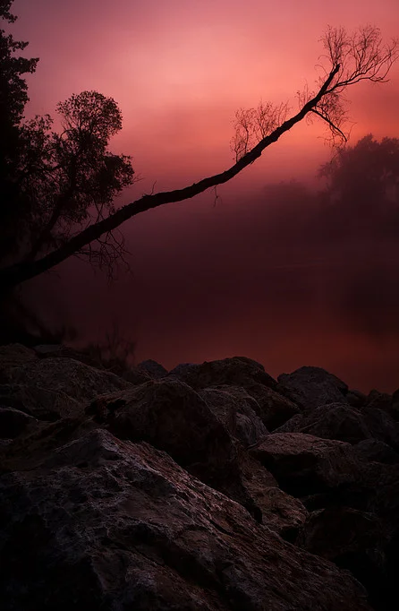 Sunrise Through Fog Assinniboine River