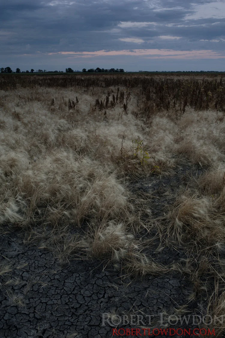 Dirt. Landscape Photograph of southern Winnipeg.