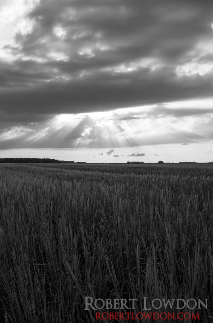 Big Sky. The sky open over an agricultural landscape