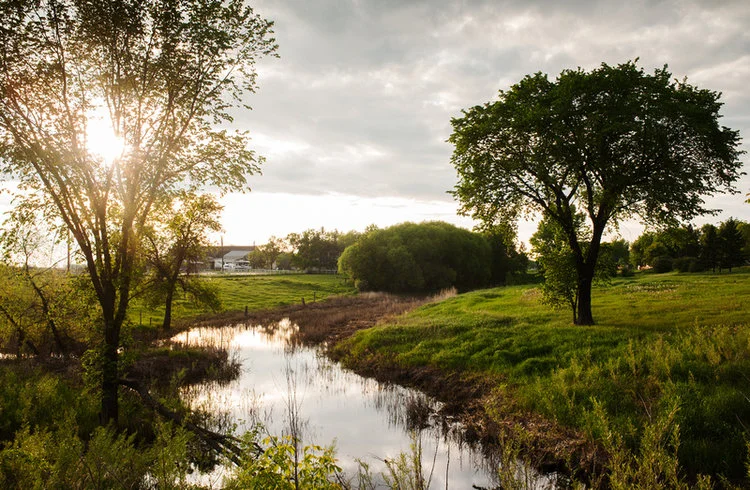 Quiet creek in the spring. Photograph taken near St. Norbert Manitoba