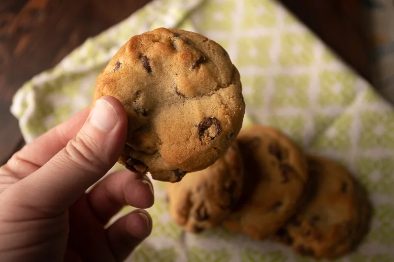The leader of the cookies must sacrifice themselves to protect the other cookies. © Robert Lowdon