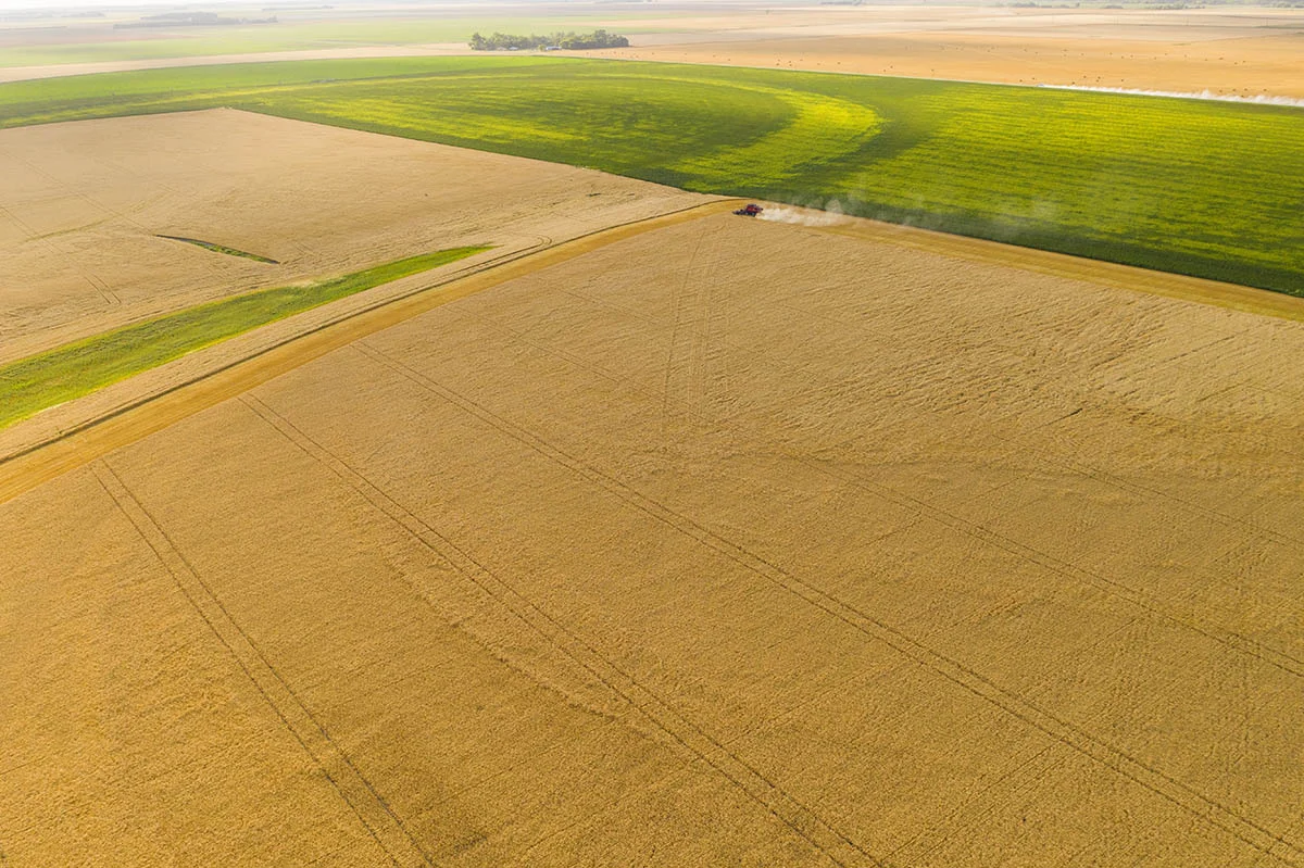 Giant agricultural fields in southern Manitoba. © Robert Lowdon