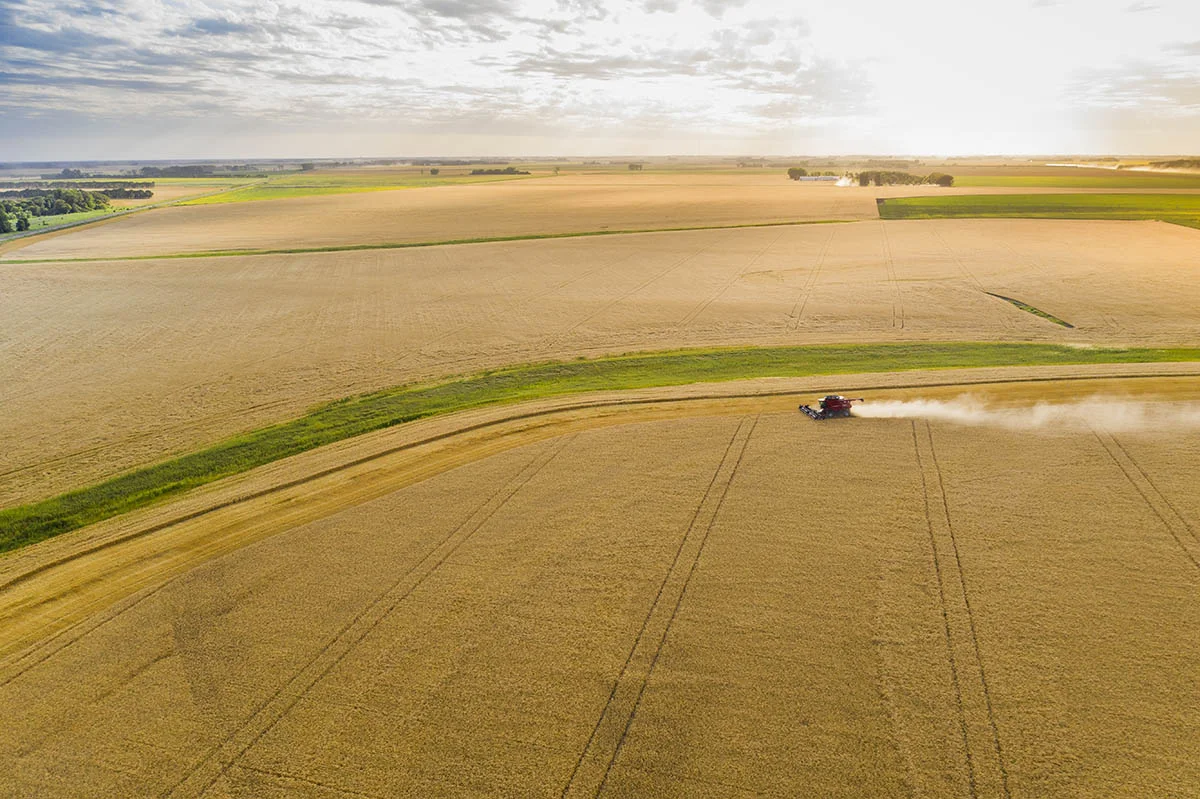 A single combine against the vastness of the Canadian prairie. © Robert Lowdon