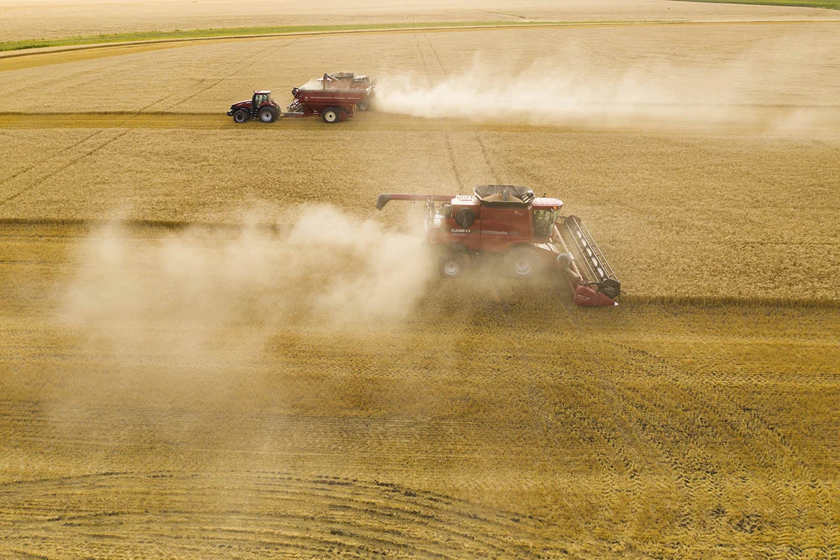 Pulverized straw is ejected from the back of the machine creating the dust clouds. © Robert Lowdon