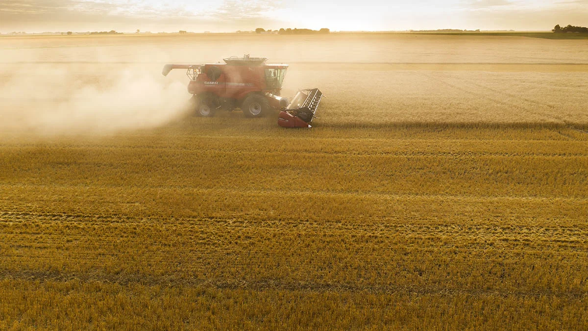 Tracking the combine through the dust cloud. © Robert Lowdon