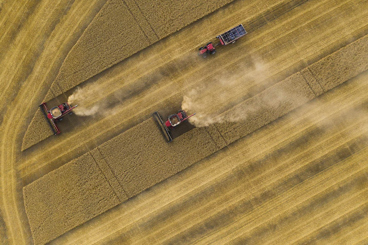 Top down view of combines and a grain trailer. © Robert Lowdon
