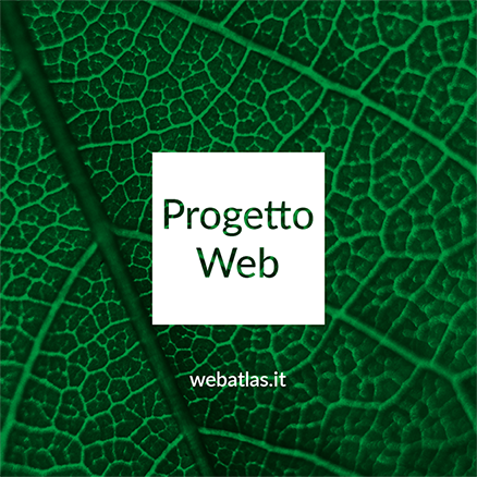 WA_visual_prodotto_progetto_WEB.png