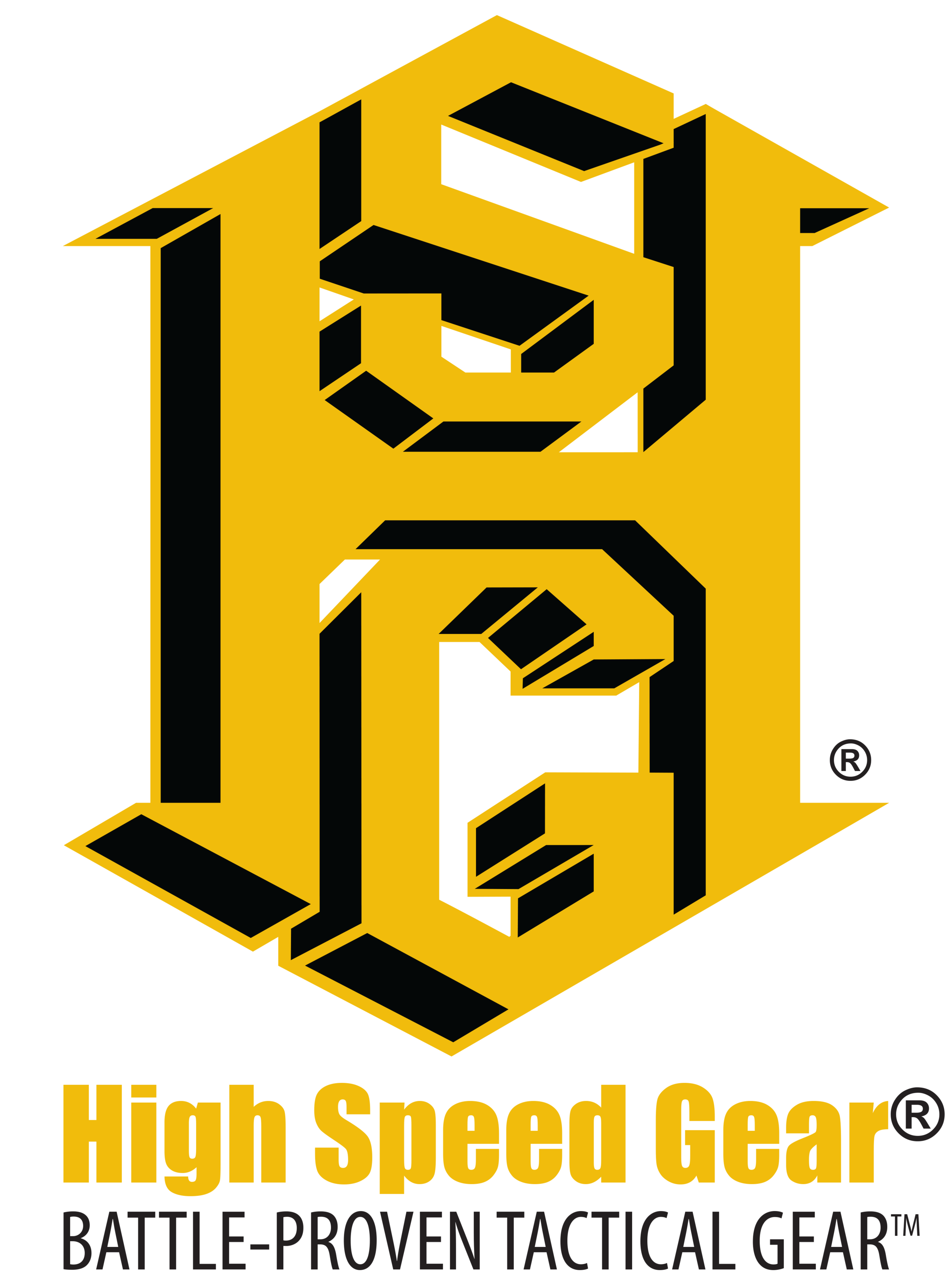 HSGI logo vertical.png