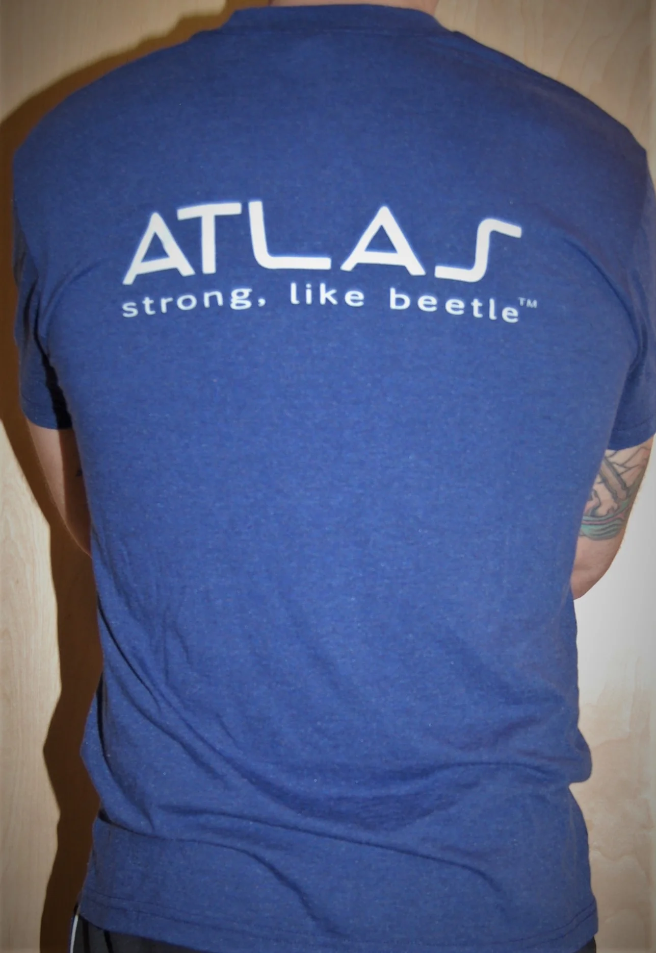 Blue Flag Rear.jpg