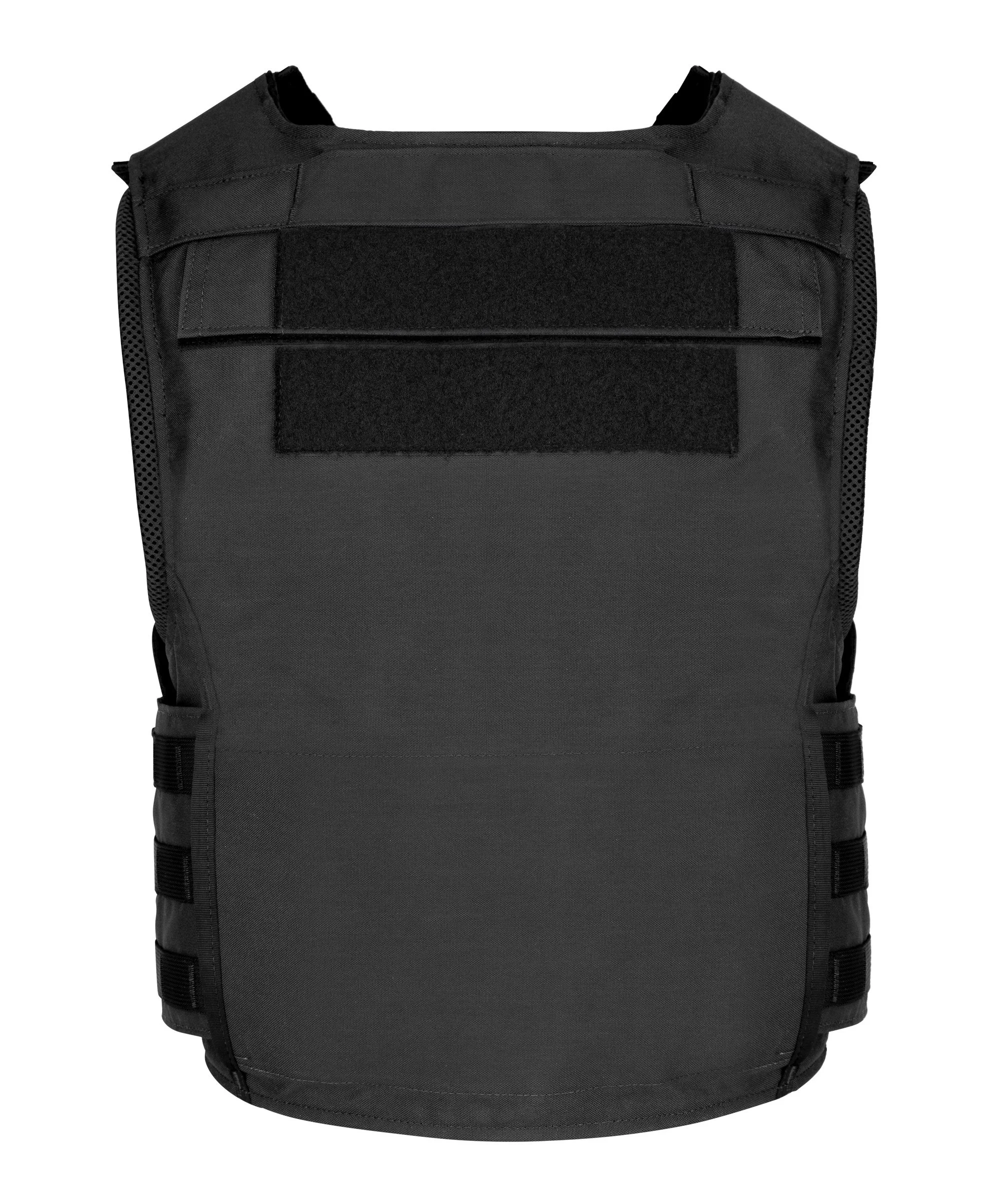 SBA_Armor_Bothel_Carrier_Back.jpg