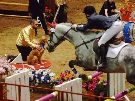File photo. The 2012 Royal Manitoba Winter Fair. (Facebook / Provincial Exhibition of Manitoba)