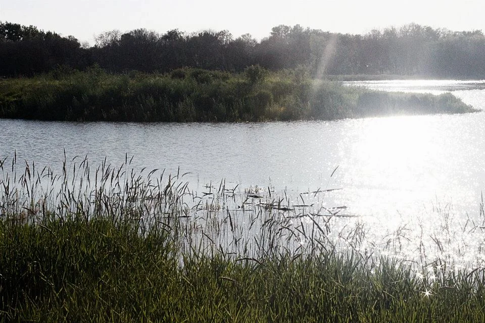 Sun reflecting off a lake. (Credit: Ashlyn Pearce/The Quill)