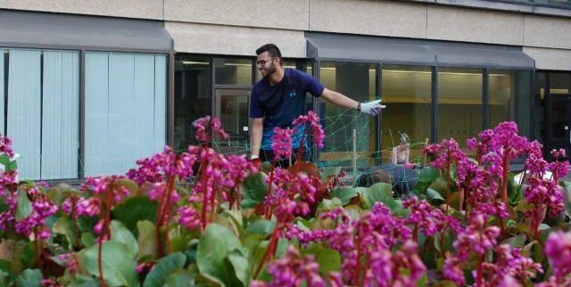 gardenning.jpg