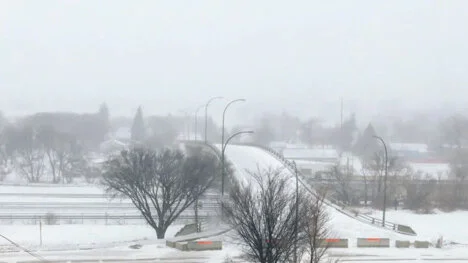 pc: cbc news