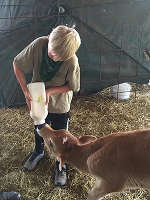 Feeding a goat 300px w.jpg