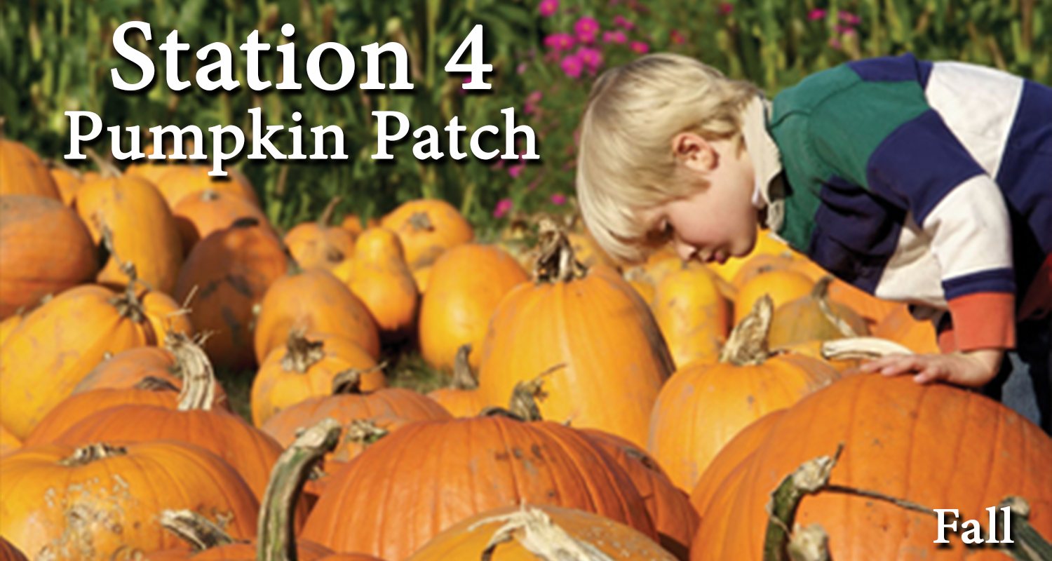 Station 4 Pumpkin Patch.png