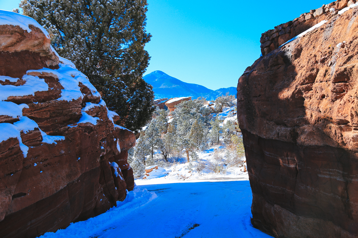 garden of the gods. colorado springs, co. 2016