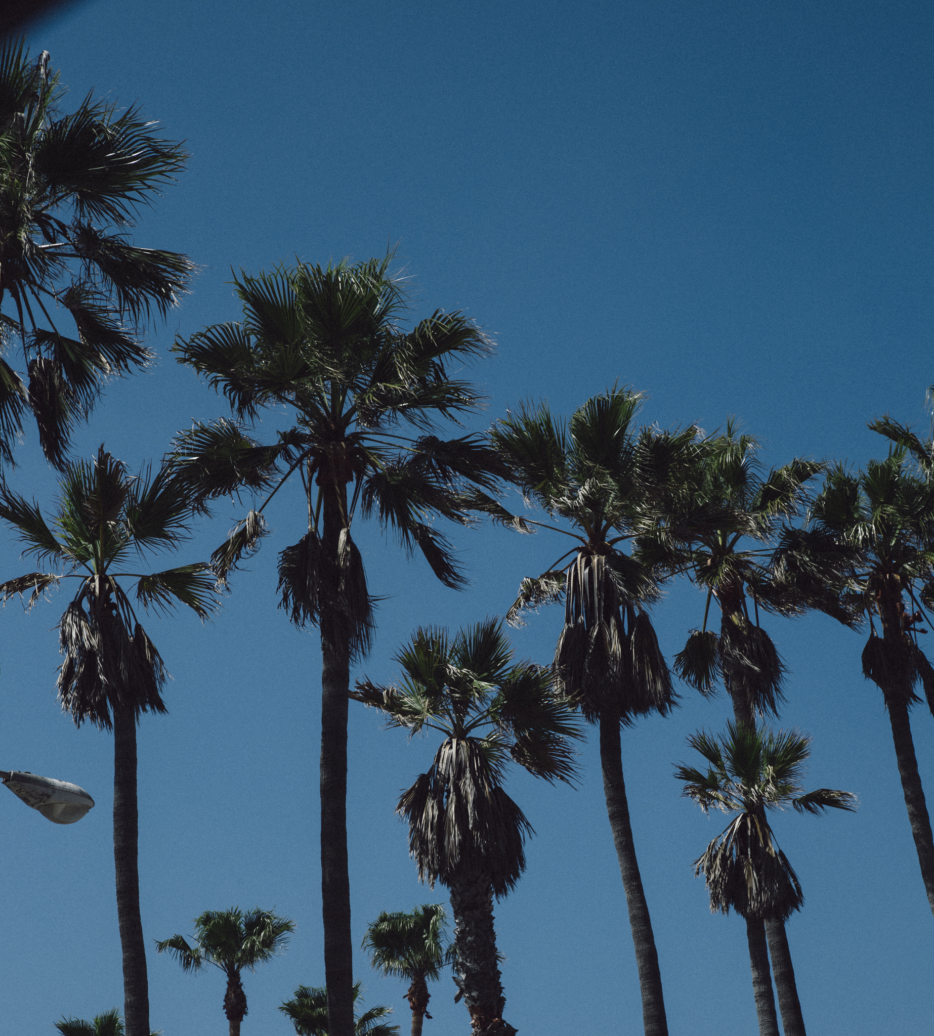 CALIFORNIA. 2017.