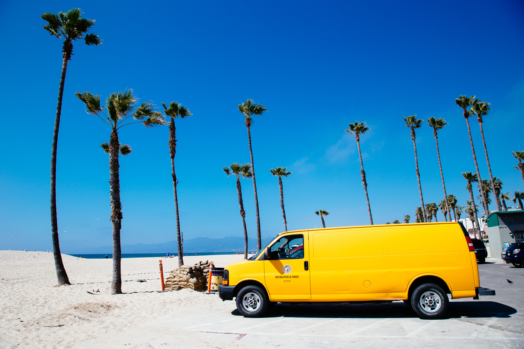 VENICE BEACH, CA. 2017