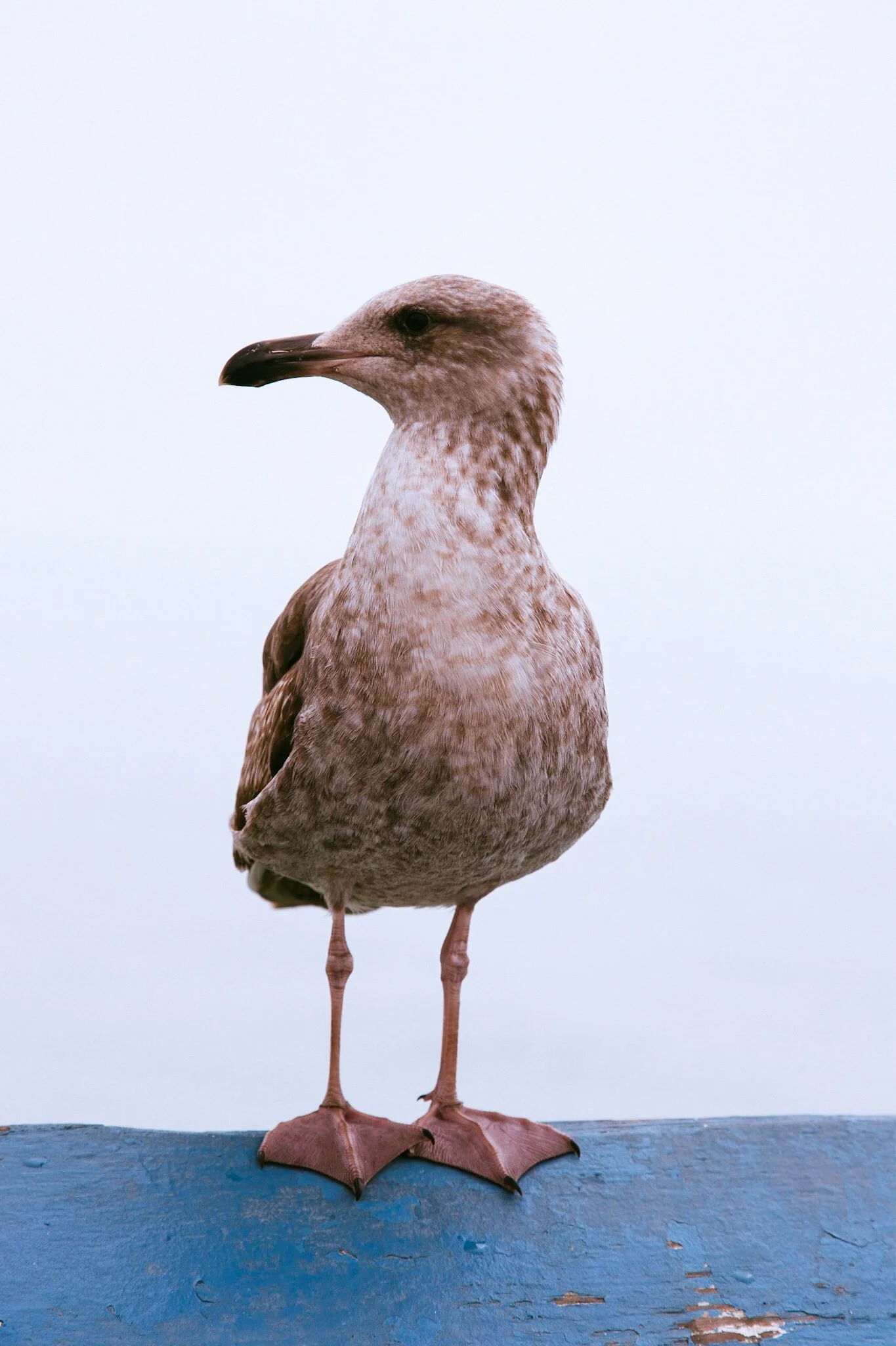 2017-03-23 18.03.58.jpg