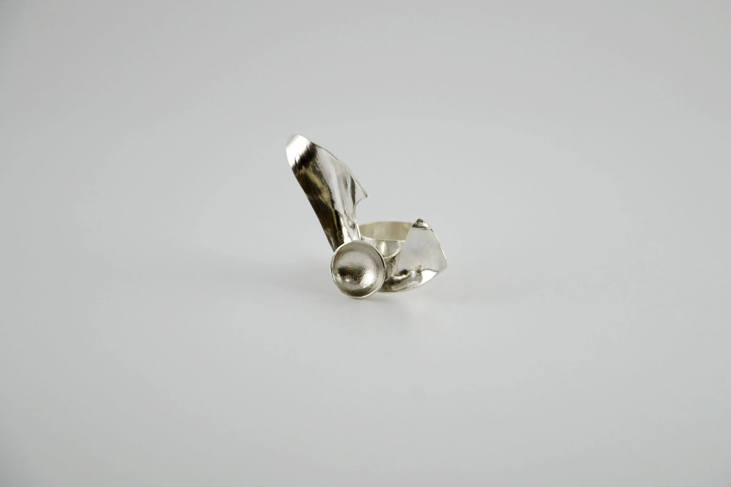 ring 31.jpg