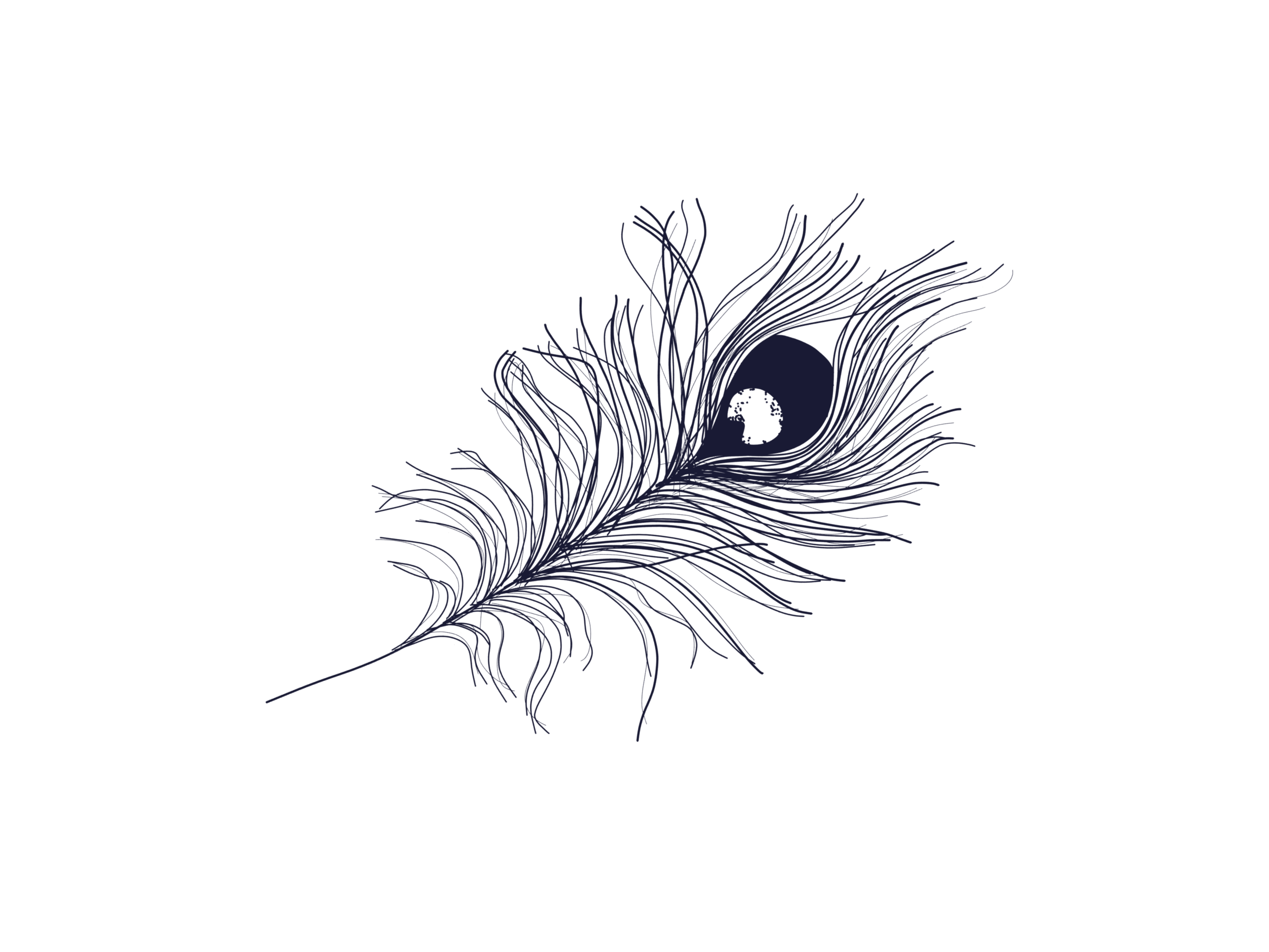 plume-bleu vers la droite.png