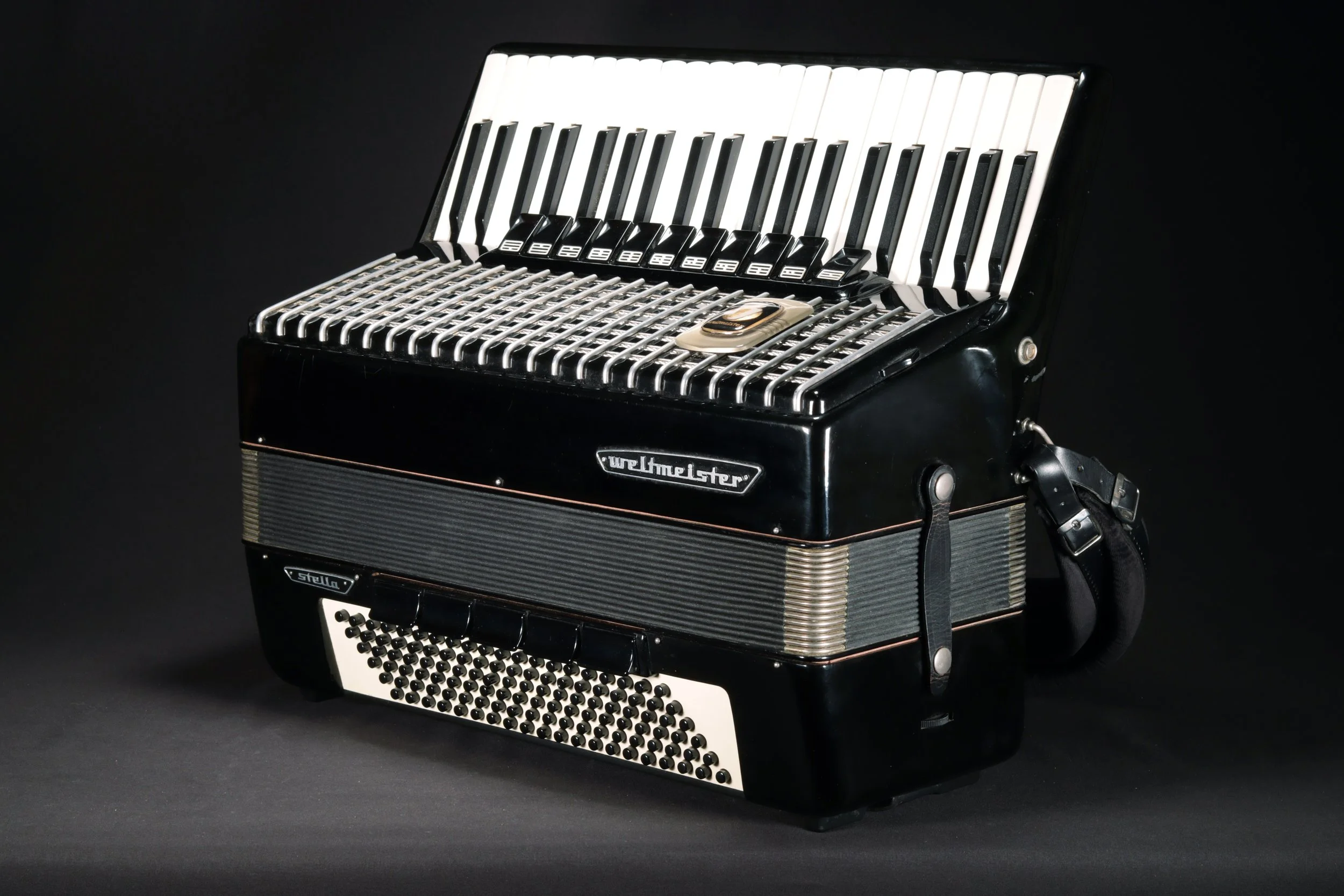 Weltmeister Stella - 41/120 LMMH - Black — ACCORDIONOLOGY