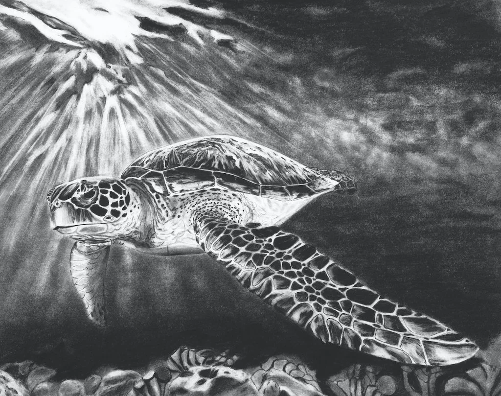 Sea Turtle 8x10 copy.jpg