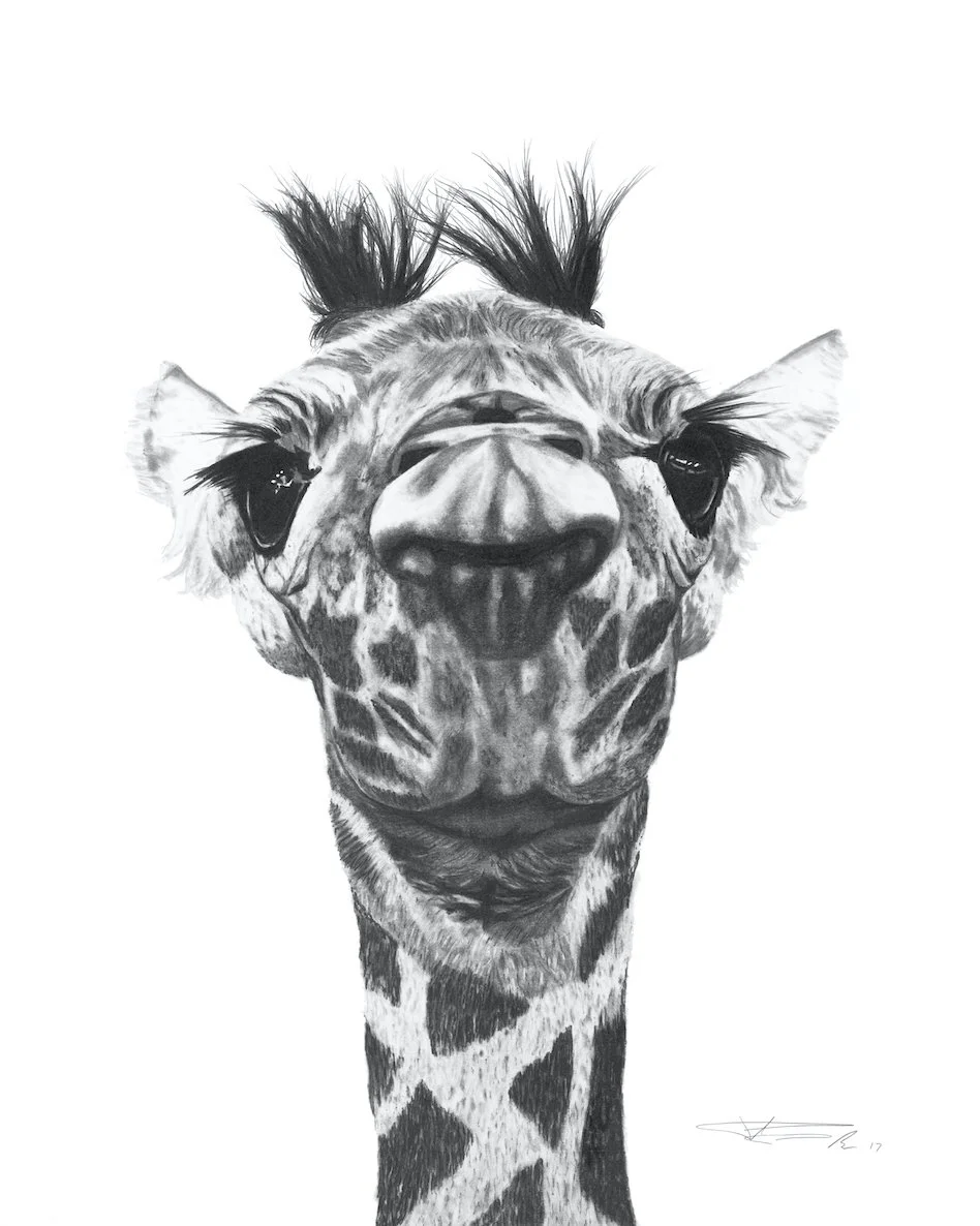 Giraffe_8x10and16x20 copy.jpg