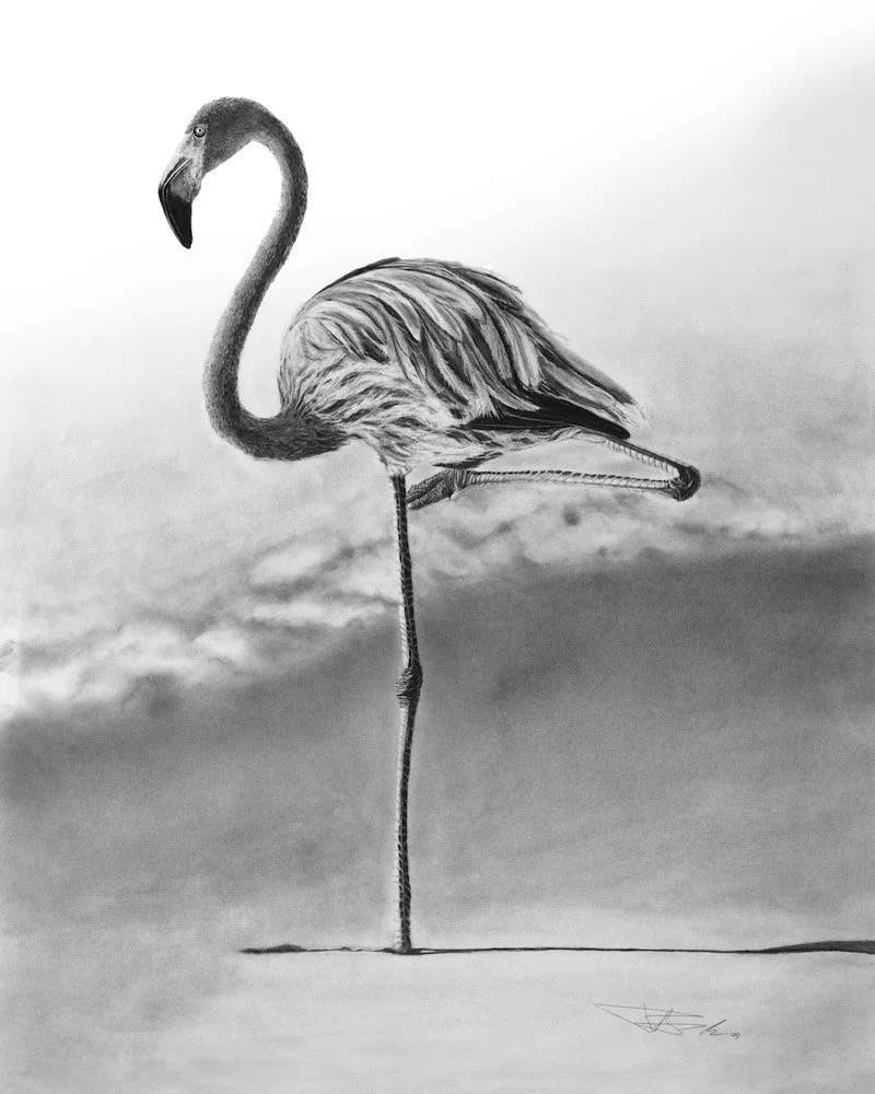 Flamingo_8x10 copy.jpg