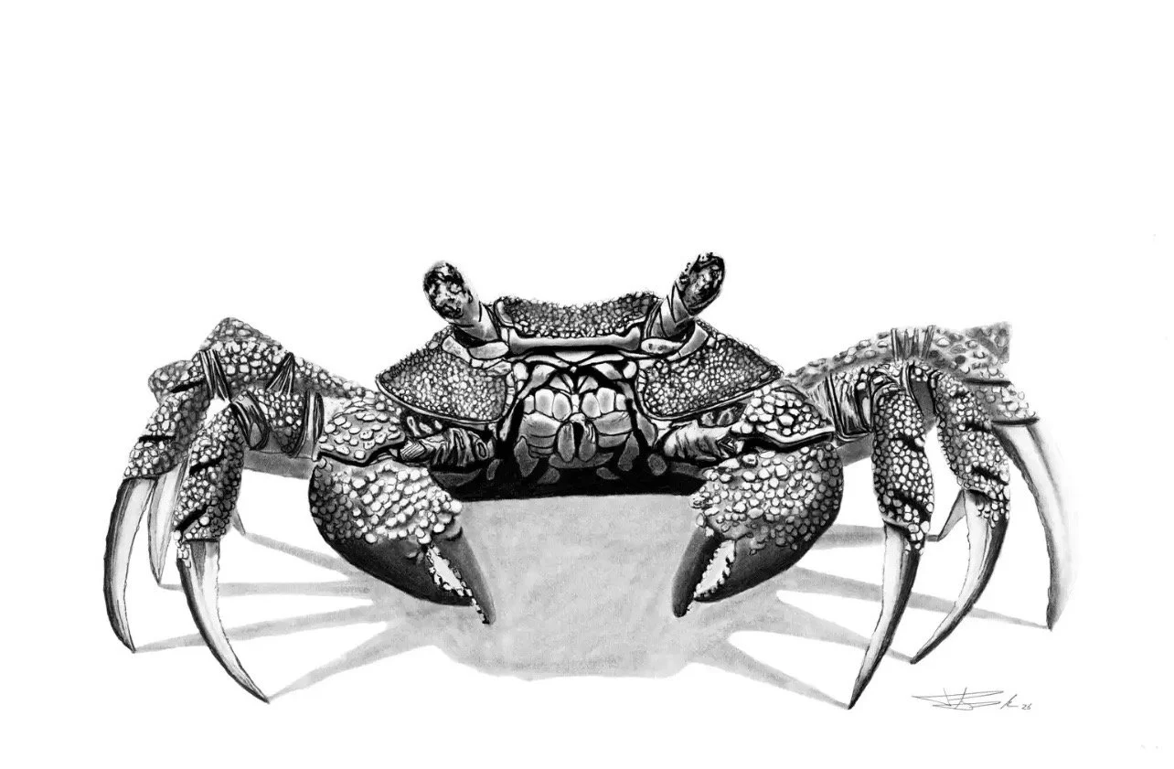 A Crab