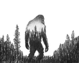 Big foot forest