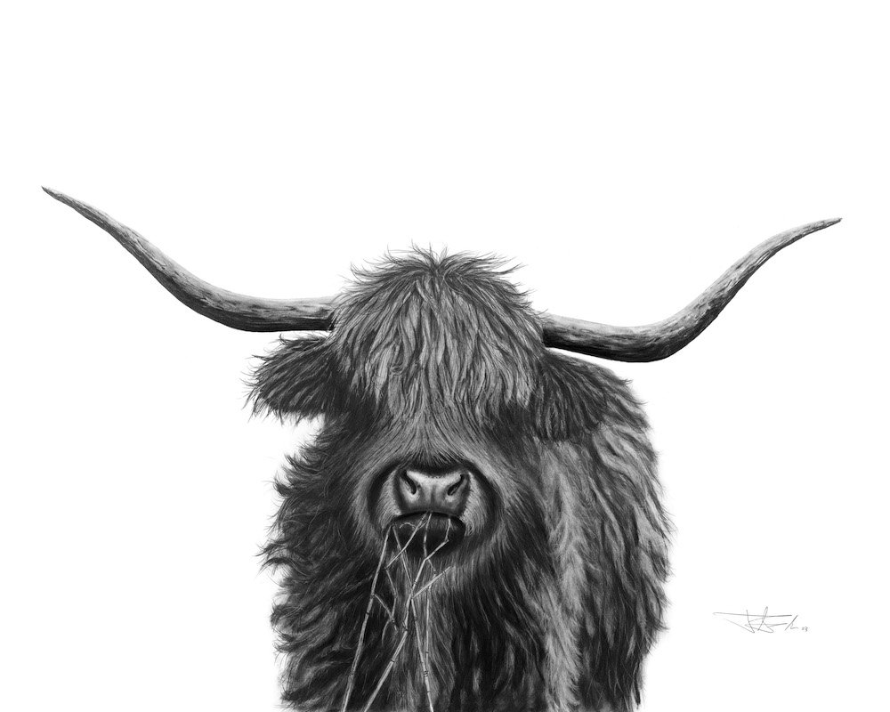 Cow _2023_8x10 copy.jpg