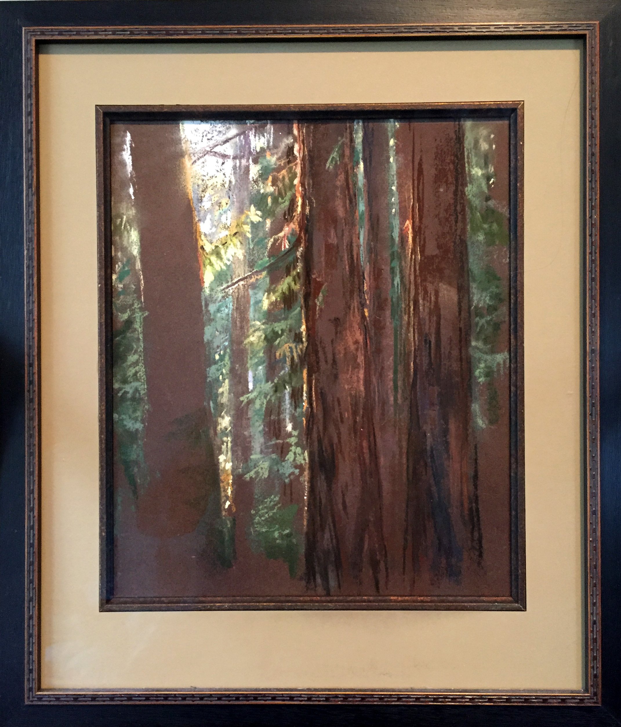 Muir Woods