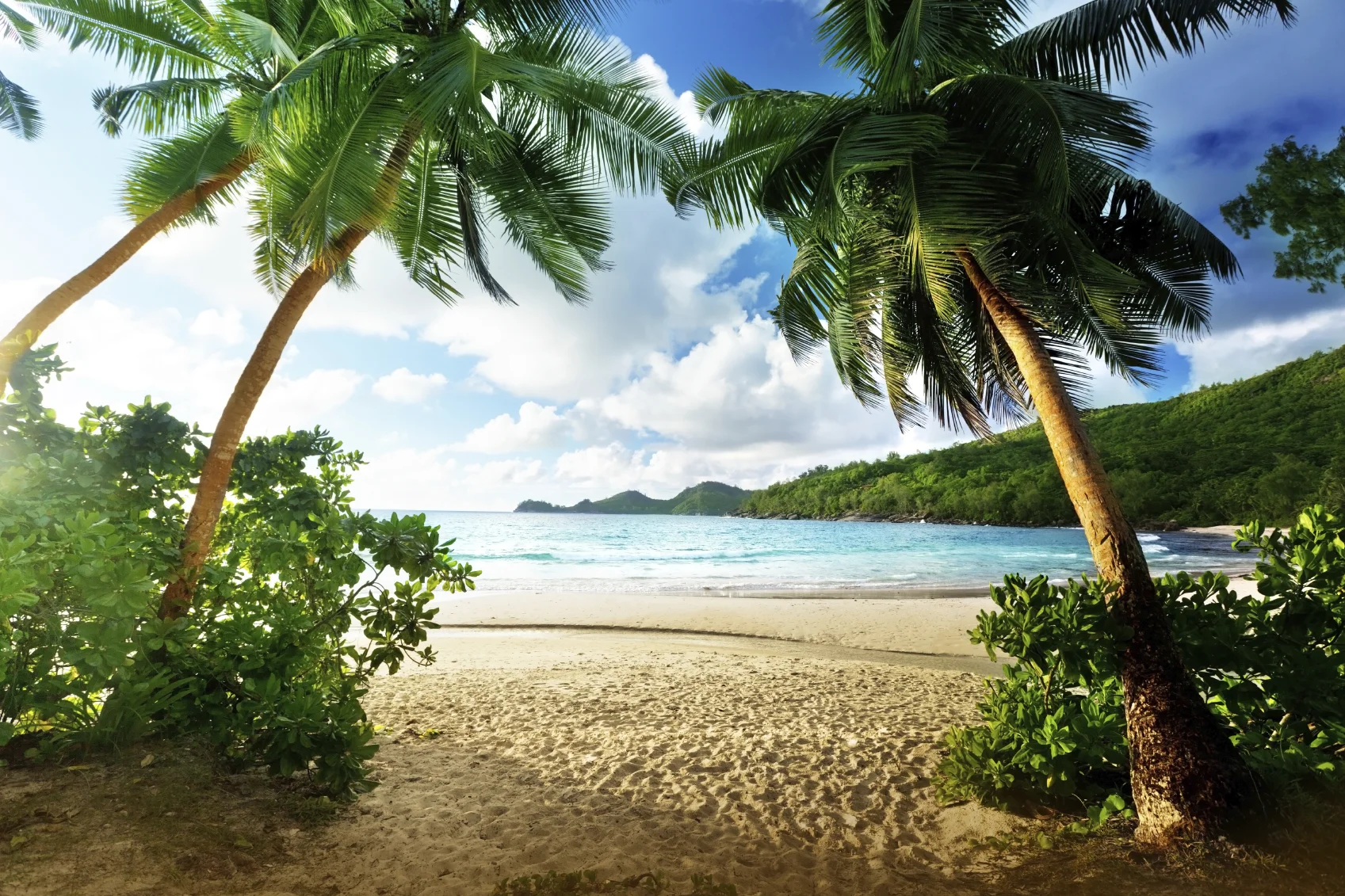 Take a Mini Vacation Right Now!