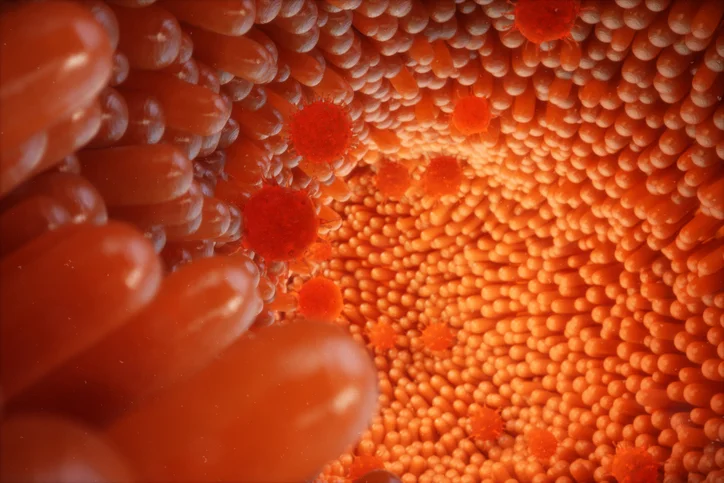 Ultimate Immune System Support